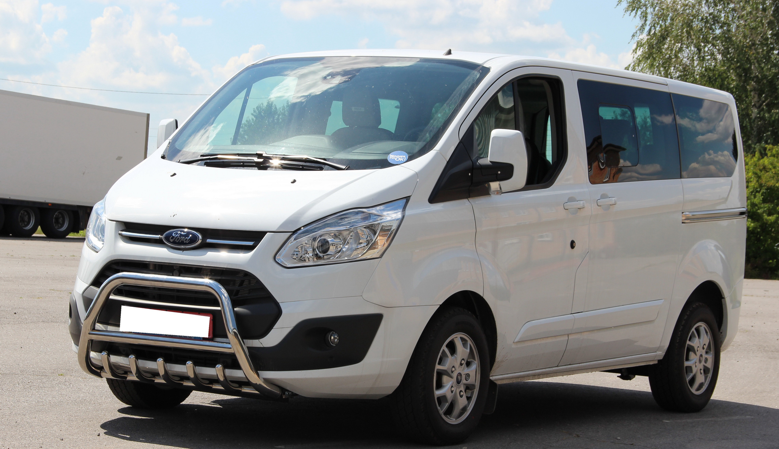 Кенгурятник WT003 (нерж) для Ford Custom 2013-2022 рр - фото 3